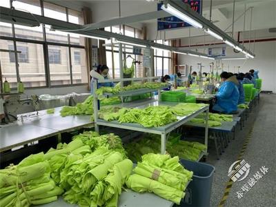 新春新氣象，赤壁服裝企業(yè)設(shè)計(jì)先行，全力沖刺“開(kāi)門(mén)紅”